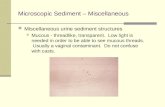 Microscopic Sediment – Miscellaneous Miscellaneous urine sediment structures Mucous - threadlike, transparent. Low light is needed in order to be able.