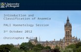 Introduction and Classification of Anaemia PALI Haematology Session 3 rd October 2012 Christopher Mullen.
