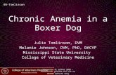 Chronic Anemia in a Boxer Dog Julie Tomlinson, DVM Melanie Johnson, DVM, PhD, DACVP Mississippi State University College of Veterinary Medicine 05-Tomlinson.