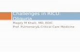 Magdy M Khalil, MD, EDIC Prof. Pulmonary& Critical Care Medicine Challenges in RICU: Oliguria.