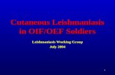 1 Cutaneous Leishmaniasis in OIF/OEF Soldiers Leishmaniasis Working Group July 2004.