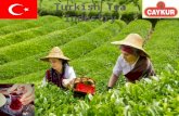 Tea Production in the World  Tea production in the world increased steadily and reached 4.8 million tonnes in recent years.On an average, during the.