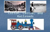 Cotton, Cattle, and Railroads. MAJOR ERAS IN TEXAS HISTORY Cotton Cotton Cattle trails Cattle trails Cowboys Cowboys Railroads Railroads Military posts.