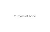 Tumors of bone. - Cause usually unknown (Primary, idiopathic) - Genetic factors may play a role (p53 and RB mutations) - Bone infarcts, trauma, osteomyelitis,