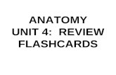 ANATOMY UNIT 4: REVIEW FLASHCARDS. Which structures are included in the skeletal system? Bones Cartilage Fibrous Membranes Joints.