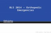 BLS 2014 – Orthopedic Emergencies. Course Objectives 1.Identify the structure and function of bone 2.Describe how to evaluate orthopedic injuries 3.Describe.