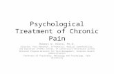 Psychological Treatment of Chronic Pain Robert D. Kerns, Ph.D. Director, Pain Research, Informatics, medical comorbidities, and Education (PRIME) Center,