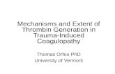 Mechanisms and Extent of Thrombin Generation in Trauma-Induced Coagulopathy Thomas Orfeo PhD University of Vermont.