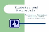 Diabetes and Macrosomia Pennington Biomedical Research Center Division of Education.