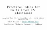 Practical Ideas for Multi-Level ESL Classrooms Adapted for ESL Instruction 101 – 2012 Video Resource CD Dawn Saint – saintd@nacc.edusaintd@nacc.edu Northeast.