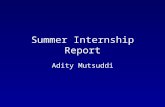 Summer Internship Report Adity Mutsuddi. Weeks 1 and 2 Linux Maya Export Blender Tutorial HTML.