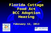 Florida Cottage Food Act BCC Adoption Hearing February 12, 2013.