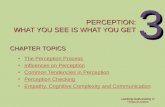 Looking Out/Looking In Thirteenth Edition 3 PERCEPTION: WHAT YOU SEE IS WHAT YOU GET CHAPTER TOPICS The Perception Process Influences on Perception Common.