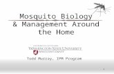 1 Mosquito Biology & Management Around the Home Todd Murray, IPM Program.