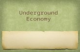 Underground Economy. Background – California’s Underground Economy Current Underground Economy Enforcement Activities New Approaches to the Underground.
