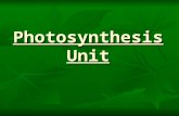 Photosynthesis Unit. Energy Flow through an Ecosystem.