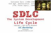 The System Development Life Cycle Copyright © 1999 Patrick McDermott UC Berkeley Extension pmcdermott@msn.com Salvador Dali (1904-1989) Old Age, Adolescence,