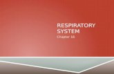 RESPIRATORY SYSTEM Chapter 16. COMPONENTS  Tubes that filter incoming air  Air transported to alveoli (gas exchange)
