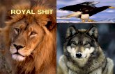 ROYAL SHIT. Observation: Scientists studying animals in the forests noted that eagles prefer eating lion shit to wolf shit