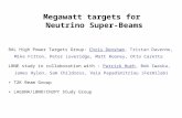 Megawatt targets for Neutrino Super-Beams RAL High Power Targets Group: Chris Densham, Tristan Davenne, Mike Fitton, Peter Loveridge, Matt Rooney, Otto.