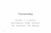 Taxonomy Grade 7 science Westmount High School Ms Hipfner/ Ms Malde 1