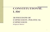 1 CONSTITUTIONAL LAW 38 FREEDOM OF EXPRESSION: POLITICAL EXPRESSION Shigenori Matsui.