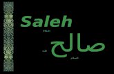 Saleh PBUH صالح عليه السلام. Saleh عليه السلام صالح And verily, the dwellers of Al-Hijr (the rocky tract) denied the Messengers. And We gave them Our.