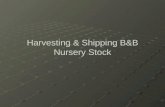 Harvesting & Shipping B&B Nursery Stock. B&B Harvest is Seasonal No. of B&B Plants Harvested J F M A M J J A S O N D.