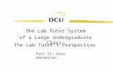 The Lab Tutor's Perspective The Lab Tutor System of a Large Undergraduate Class: Part II: Dave Donnellan.