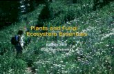 Plants and Fungi: Ecosystem Essentials Biology 2410 Utah State University.