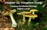 Chapter 21: Kingdom Fungi Leaving Certificate Biology Higher Level.