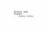 Stress and Plants - biotic stress -. Plants must continuously defend themselves against attack from: – bacteria – viruses – fungi – invertebrates (+ some.