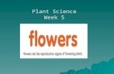 Plant Science Week 5. Flowers are found in many kinds of shapes, colors and petal display.