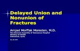 Delayed Union and Nonunion of Fractures Amjad Moiffak Moreden, M.D. The General Assembly of Damascus Hospital Ministry of Health Damascus, Syria Feb.