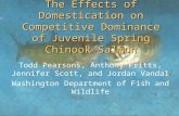 The Effects of Domestication on Competitive Dominance of Juvenile Spring Chinook Salmon Todd Pearsons, Anthony Fritts, Jennifer Scott, and Jordan Vandal.