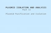 PLASMID ISOLATION AND ANALYSIS Part II Plasmid Purification and Isolation.