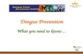 Dengue Prevention What you need to know…. What is dengue fever? Dengue Fever is an illness caused by infection with a virus transmitted by the Aedes mosquito.