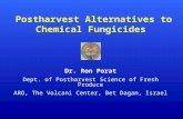 Postharvest Alternatives to Chemical Fungicides Dr. Ron Porat Dept. of Postharvest Science of Fresh Produce ARO, The Volcani Center, Bet Dagan, Israel.