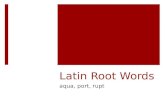 Latin Root Words aqua, port, rupt. Meaning  Aqua means “water”