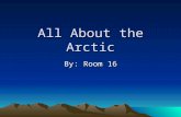 All About the Arctic By: Room 16. Arctic Land By: Nicholas.