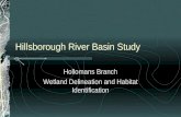 Hillsborough River Basin Study Hollomans Branch Wetland Delineation and Habitat Identification.