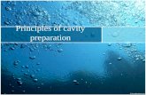 Principles of cavity preparation. Tooth preparation 1.Definition. 2.Objectives. 3.Principles: i.biological. ii.Mechanical.