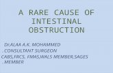 A RARE CAUSE OF INTESTINAL OBSTRUCTION Dr.ALAA A.K. MOHAMMED CONSULTANT SURGEON. CABS,FRCS, FMAS,WALS MEMBER,SAGES MEMBER.
