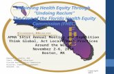 Achieving Health Equity Through “Undoing Racism” The Case of the Florida Health Equity Commission (FHEC) Deborah A. Austin, PhD Chair, Board of Directors.