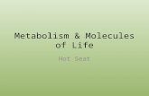 Metabolism & Molecules of Life Hot Seat. Many organic molecules are made of repeating units of individual molecules called __________. Monomers.