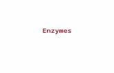 Enzymes. REACTIONS AND ENZYMES Endergonic and exergonic Energy releasing processes, ones that "generate" energy, are termed exergonic reactions. Reactions.
