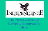 The Next Generation Creeping Bentgrass is Here. Newer bents vs. existing bents Short bentgrass development history –Varieties have different attributes.