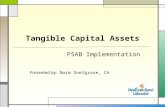 11 Tangible Capital Assets PSAB Implementation Presented by: Norm Snelgrove, CA.