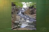 Alabama Best Management Practices for Forestry Alabama’s Best Management Practices for Forestry “… are voluntary guidelines to help maintain and protect.
