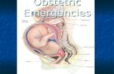 Obstetric Emergencies. Obstetric Emergencies: We will cover... Normal Pregnancy Normal Pregnancy Common medical and surgical complications of pregnancy